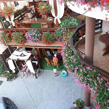 게스트하우스 Pensiunea Daiana Năvodari