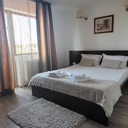 ゲストハウス Pensiunea Daiana ナボダリ