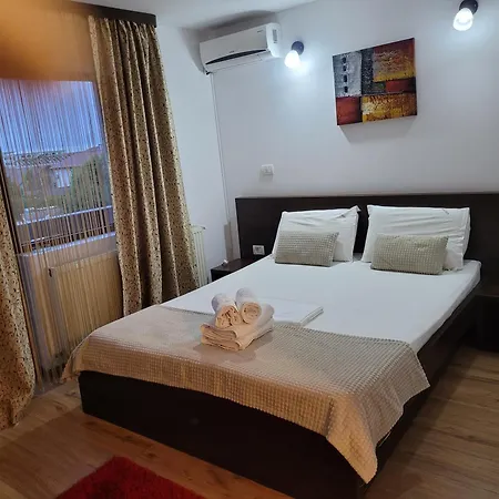 ゲストハウス Pensiunea Daiana