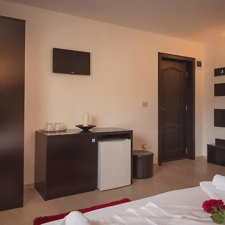 Pensiunea Daiana 3*