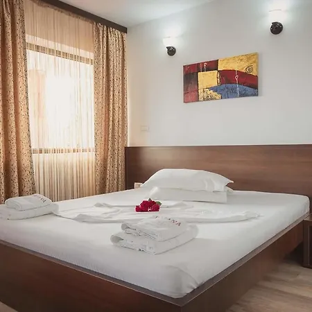 ゲストハウス Pensiunea Daiana