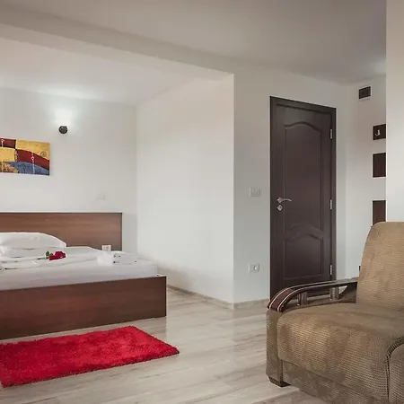 ゲストハウス Pensiunea Daiana ナボダリ