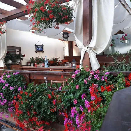 Pensiunea Daiana 게스트하우스 3*